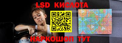 прущие грибы Новодвинск