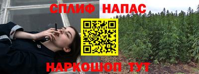прущие грибы Новодвинск