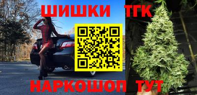 прущие грибы Новодвинск