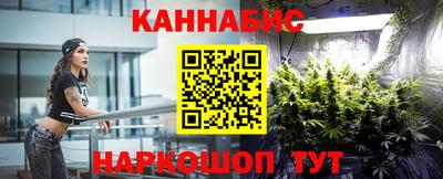 прущие грибы Новодвинск