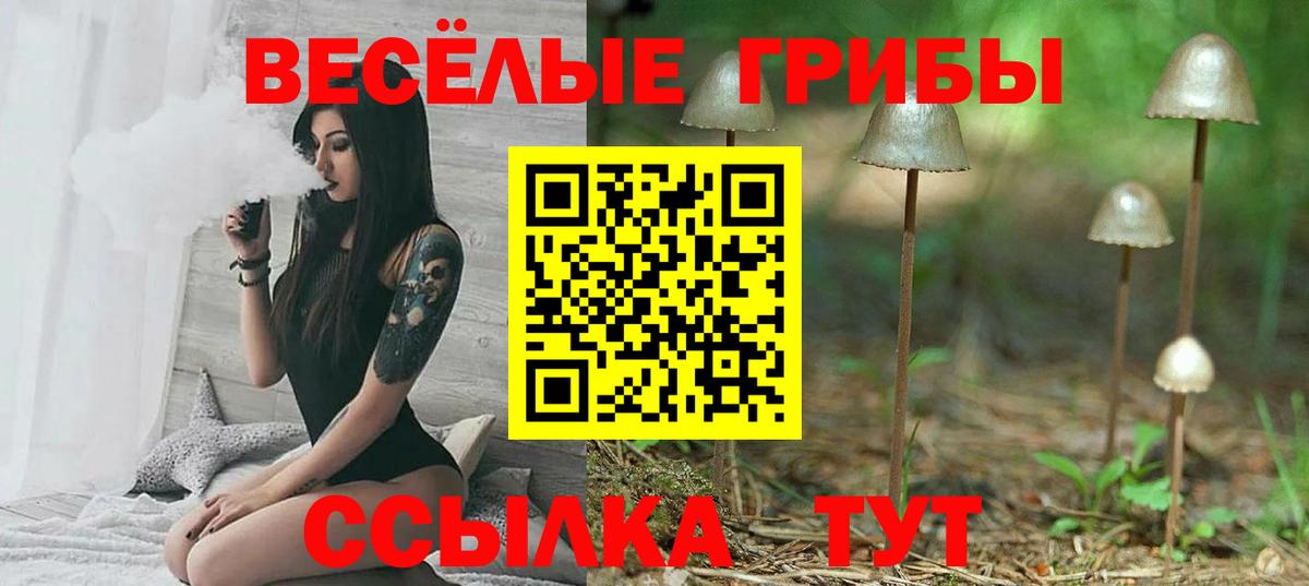 где можно купить наркотик  Вход с VPN  Сыктывкар  Галлюциногенные грибы GOLDEN TEACHER 